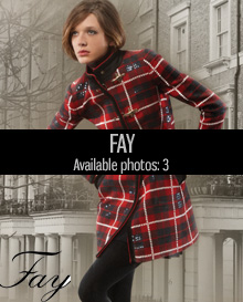 fay advertising 2014